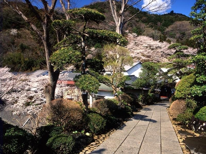 Motoyu Ryokan Atsugi Eksteriør bilde