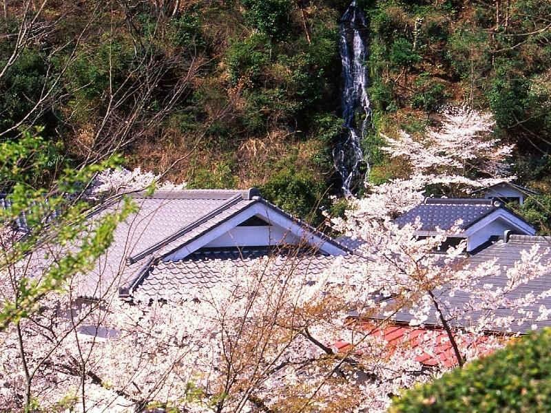 Motoyu Ryokan Atsugi Eksteriør bilde