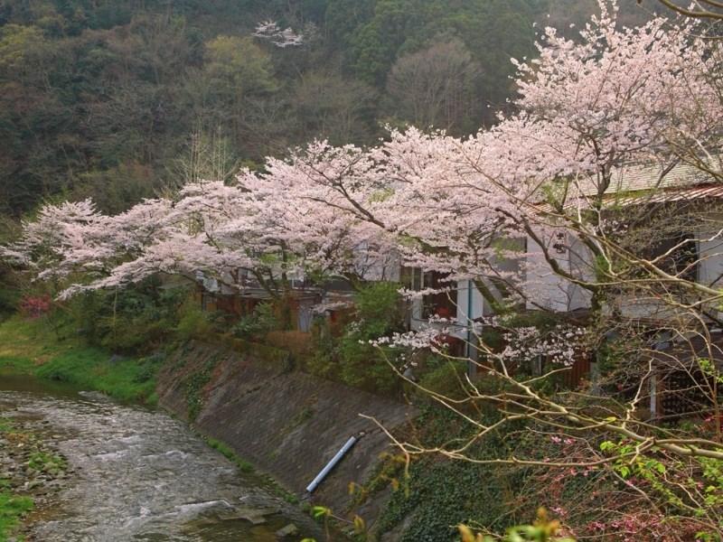 Motoyu Ryokan Atsugi Eksteriør bilde