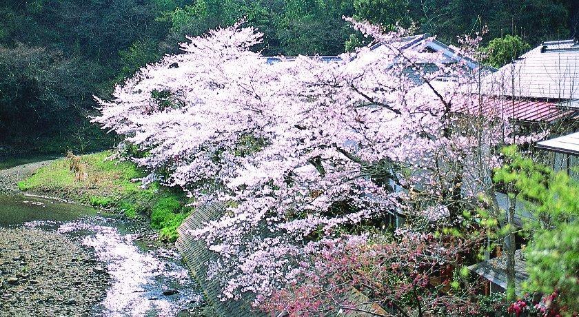 Motoyu Ryokan Atsugi Eksteriør bilde